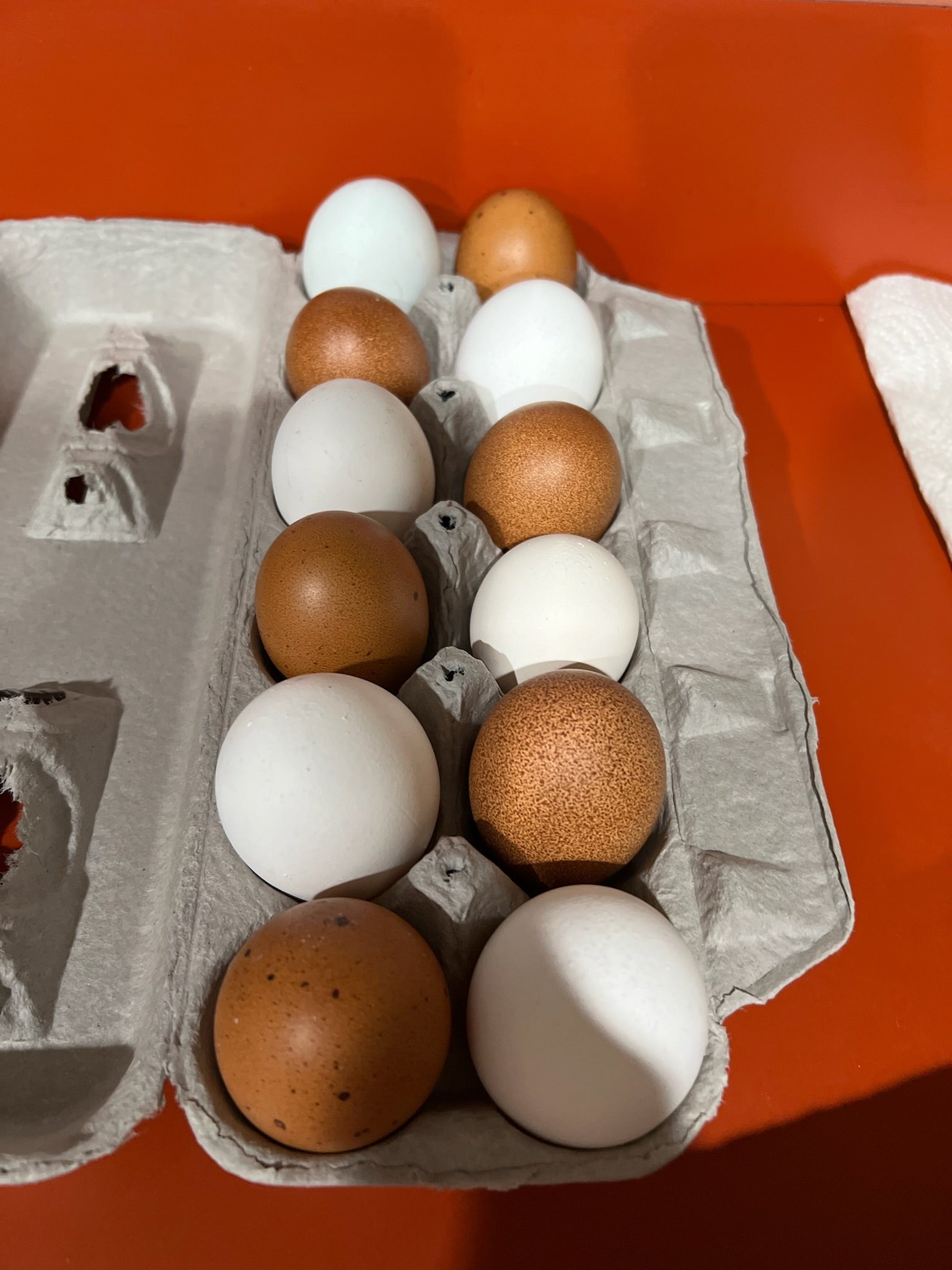 Farm fresh eggs