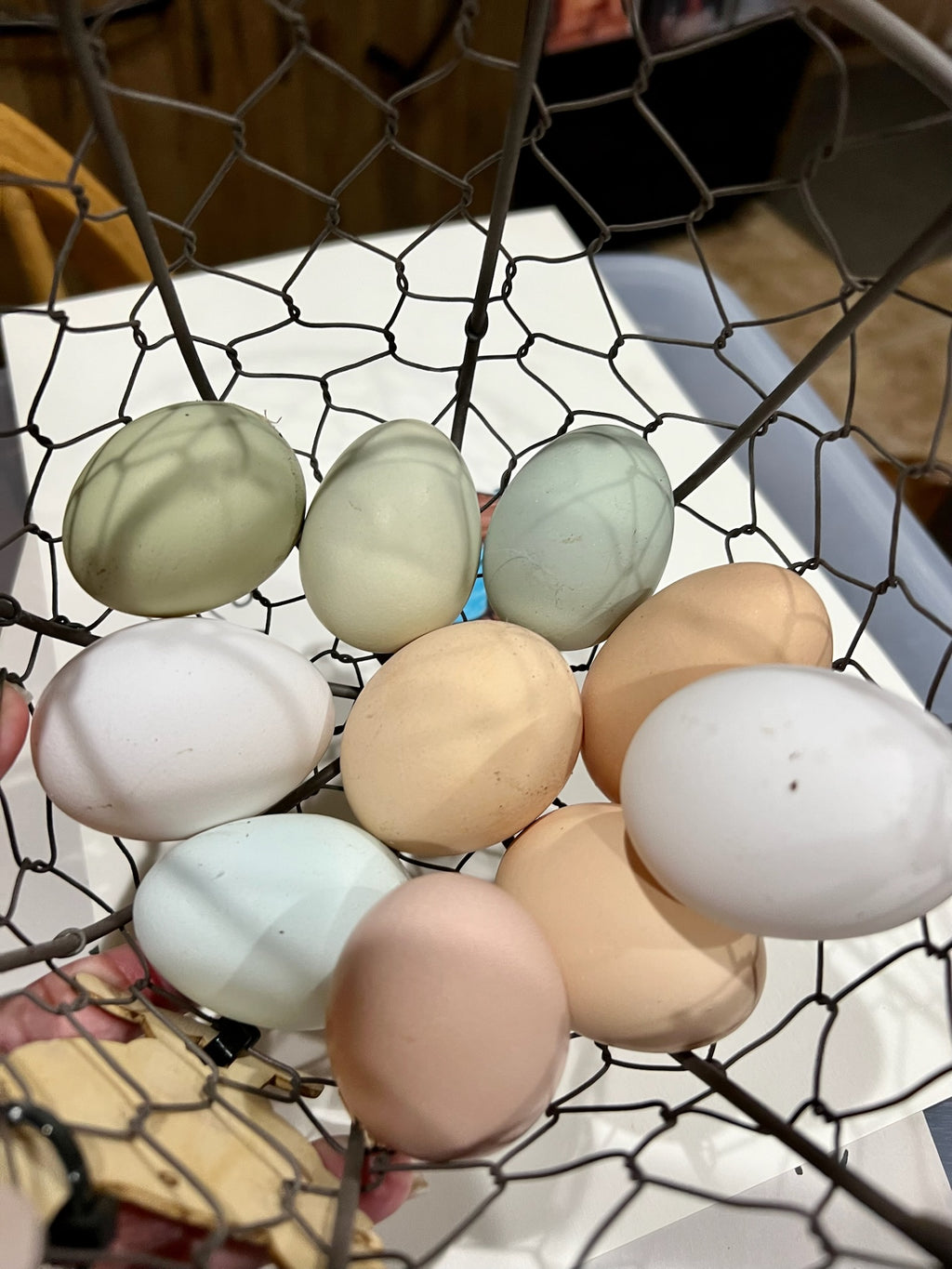 Farm fresh eggs